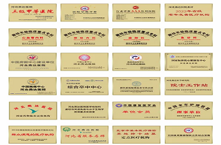 河北燕達醫(yī)院十五載榮譽之路：以仁心筑夢，引領醫(yī)養(yǎng)康融合高質(zhì)量發(fā)展